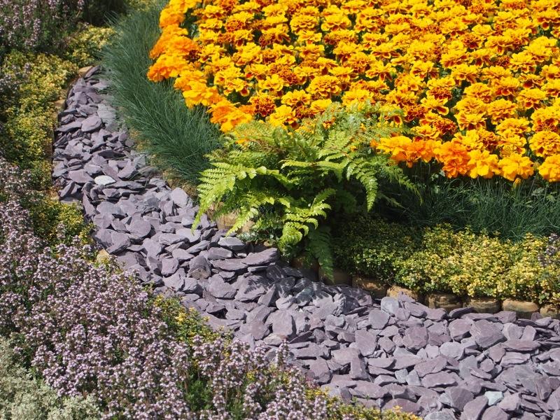 Plum Slate Chippings 40mm (25 Maxi Bags)