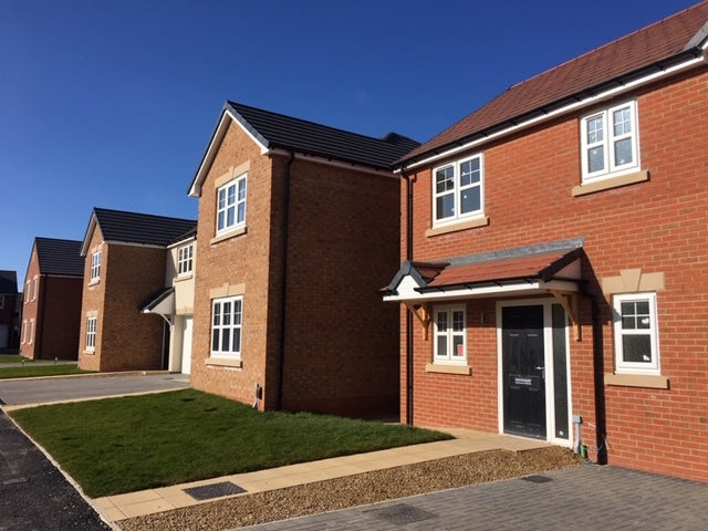 Carlton Flamborough Gold 73mm