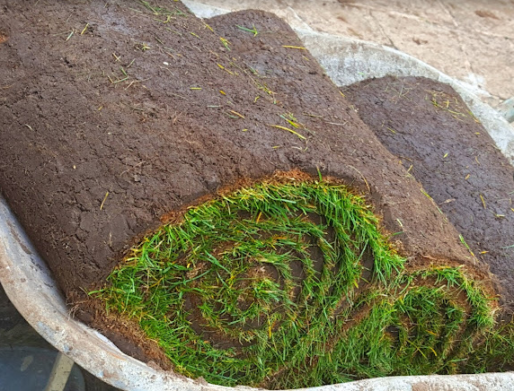 Premier Lawn Turf *Bulk Buy*