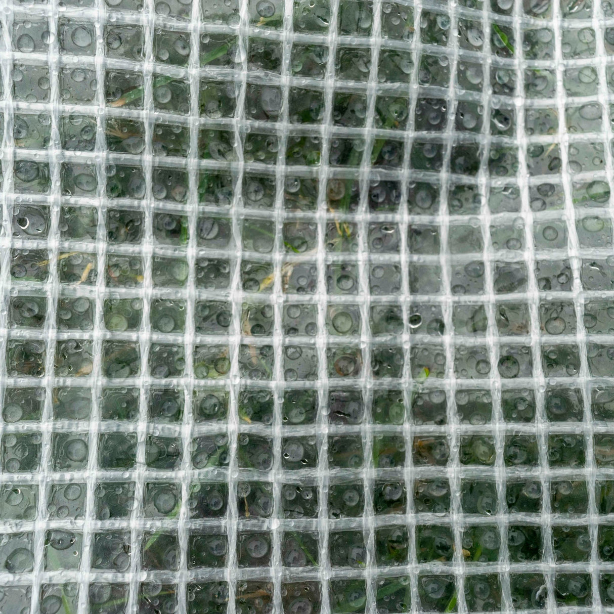 Clear M-Grade Tarpaulin with 10 Metres of 6mm Bungee Rope