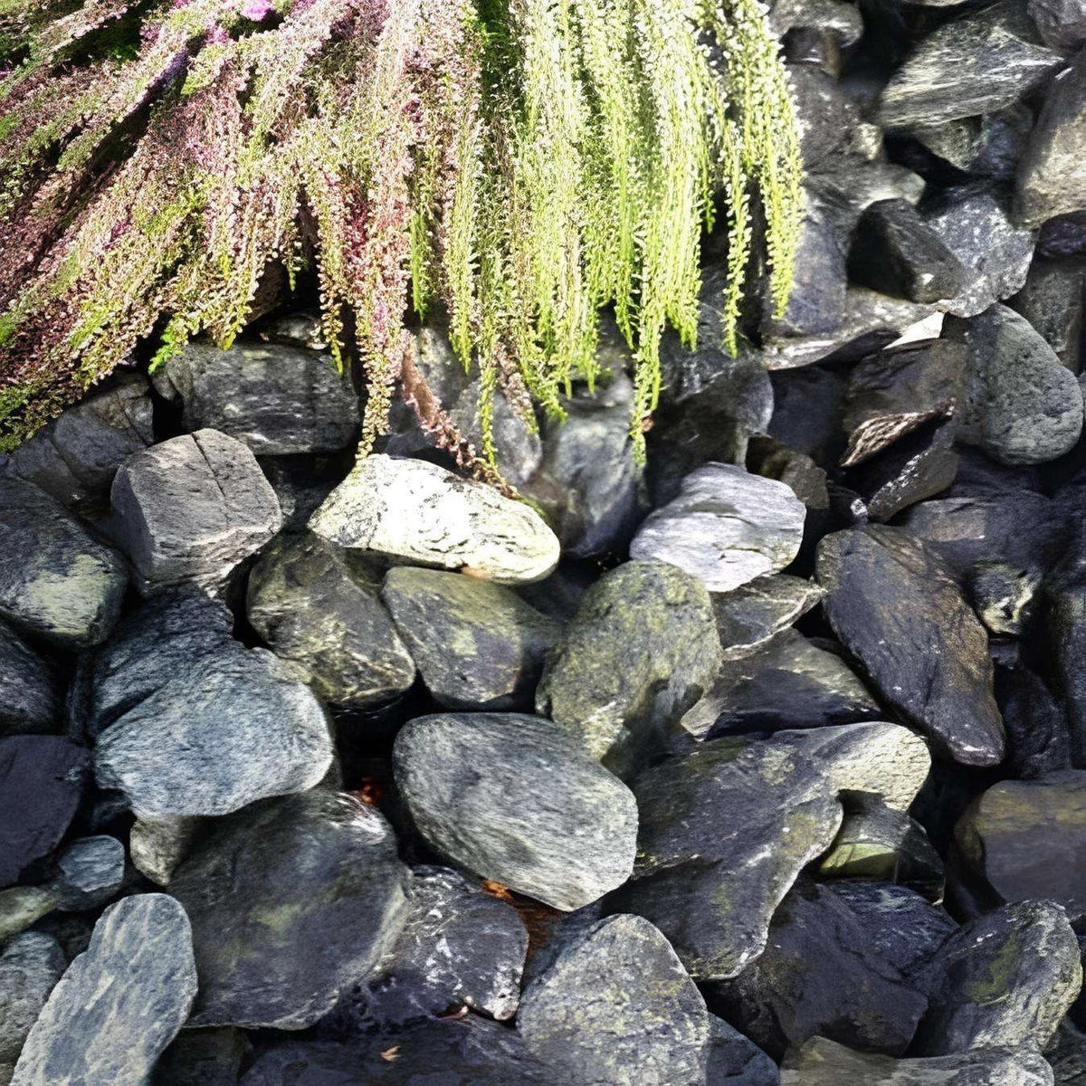 Emerald Green Garden Pebbles 60-120m - Armstrong Cheshire