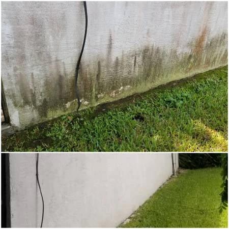 Hypo SuperFoam+ 10L (Moss & Algae Remover) Softwash Solution - Armstrong Cheshire