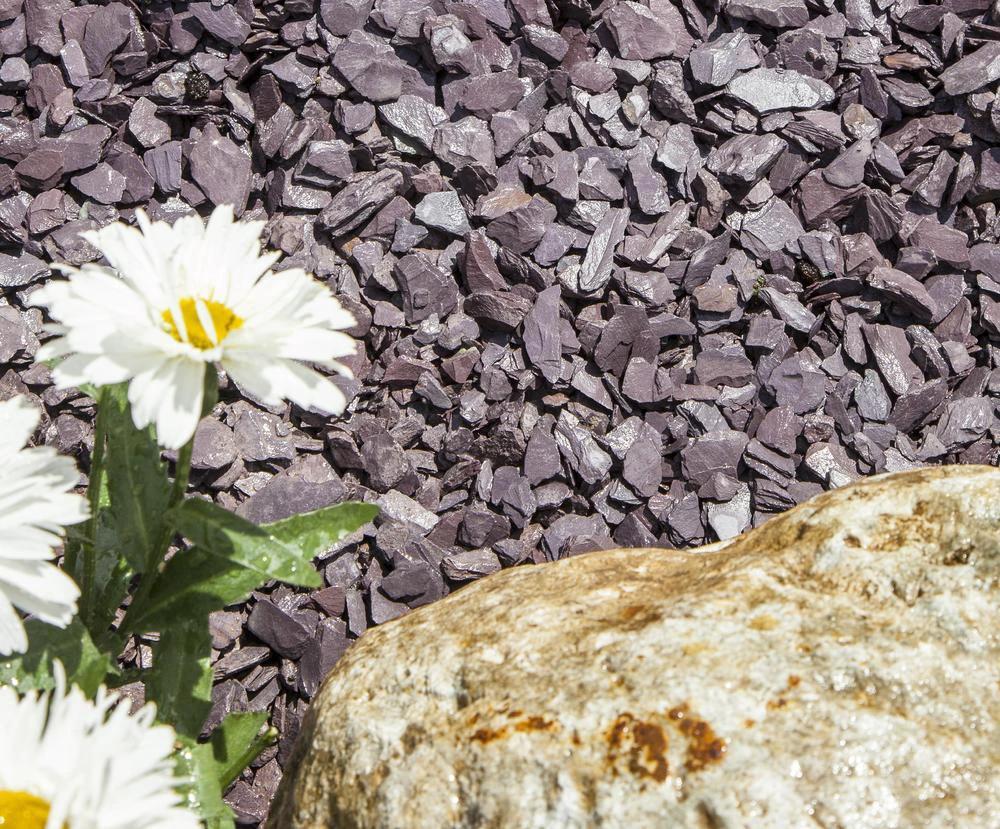 Plum Welsh Slate Chippings 20mm 25/50kg 20kg Bags - Armstrong Cheshire