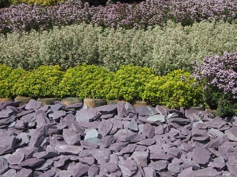 Plum Welsh Slate Chippings 40mm 25/50 20kg Bags - Armstrong Cheshire
