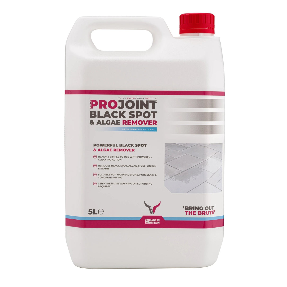 ProJoint Black Spot and Algae Remover 5L - Armstrong Cheshire