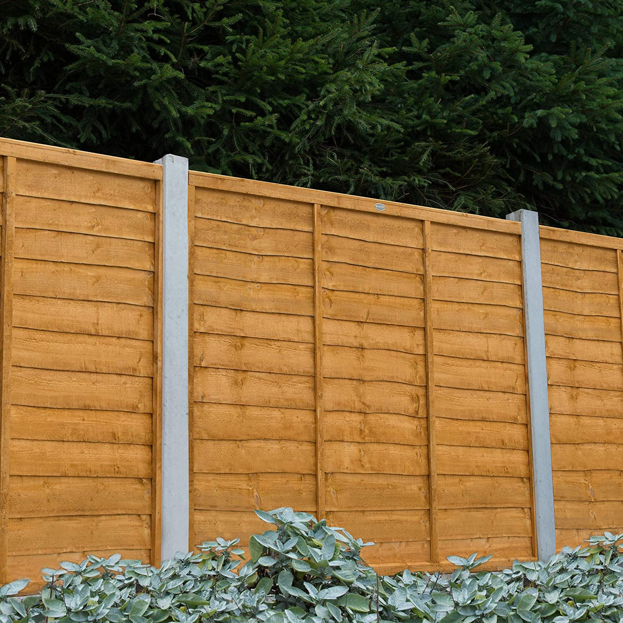 Garden Fence Panels Superior Lap in Packs 1828mmx 1500mm (6ft x 5ft)