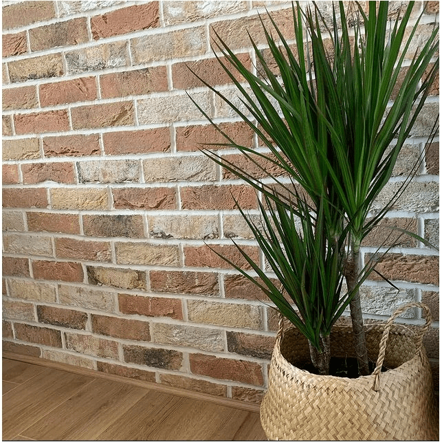 Birkdale Blend Brick Slip Tiles - Armstrong Cheshire