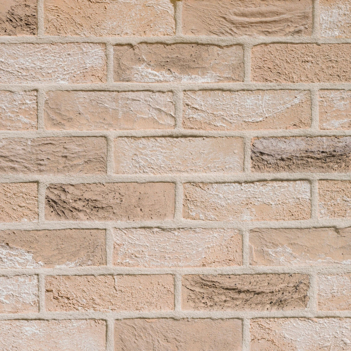 Brick Slip Tiles Samples - Armstrong Cheshire
