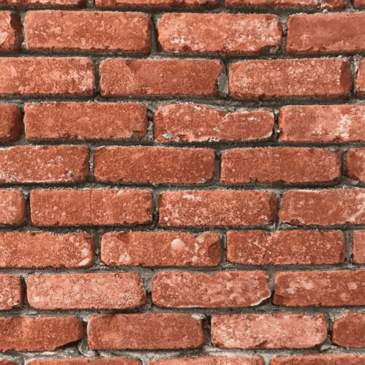 Brick Slip Tiles Samples - Armstrong Cheshire