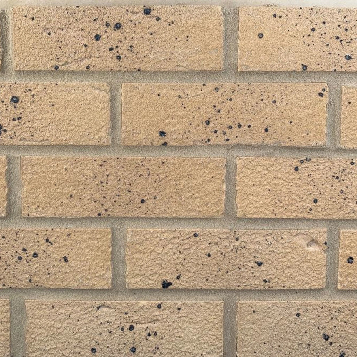Brick Slip Tiles Samples - Armstrong Cheshire