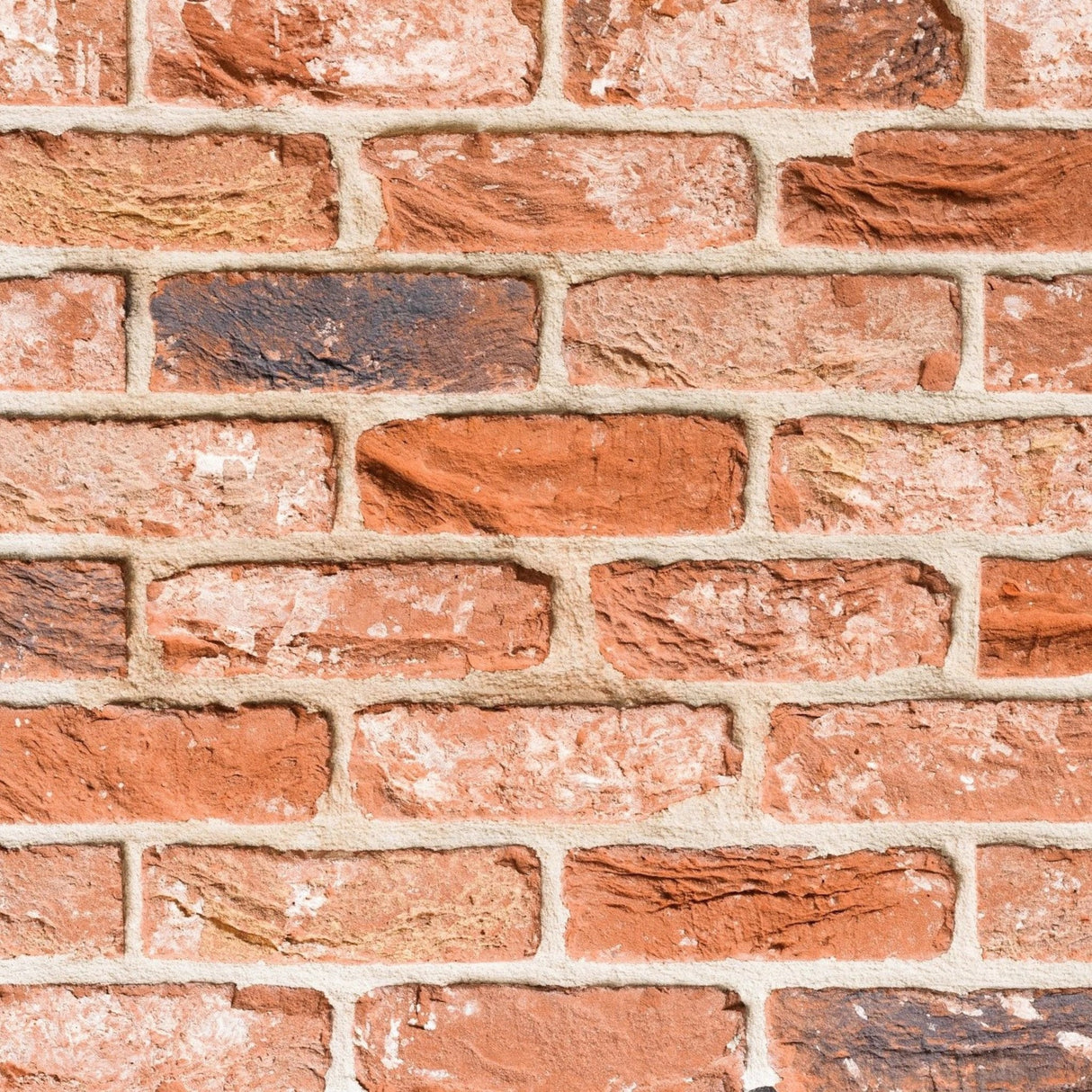 Old Althorne Brick Slip Tiles - 0.5m2 - Armstrong Cheshire