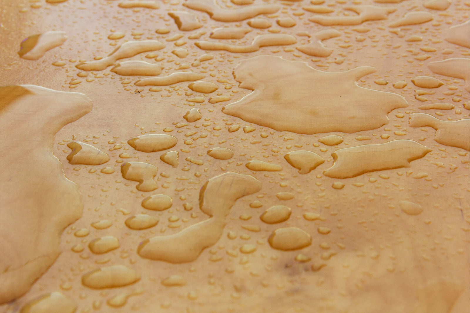 sheet of marine plywood with water on the surface