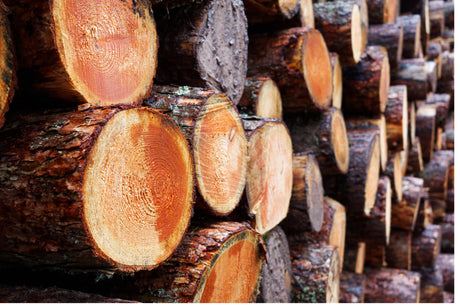 What is FSC Timber