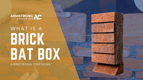What is a Brick Bat Box?