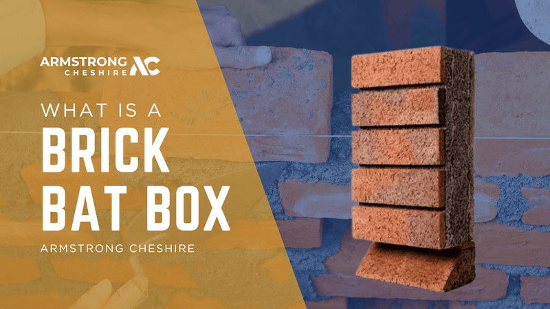What is a Brick Bat Box? – Armstrong Cheshire