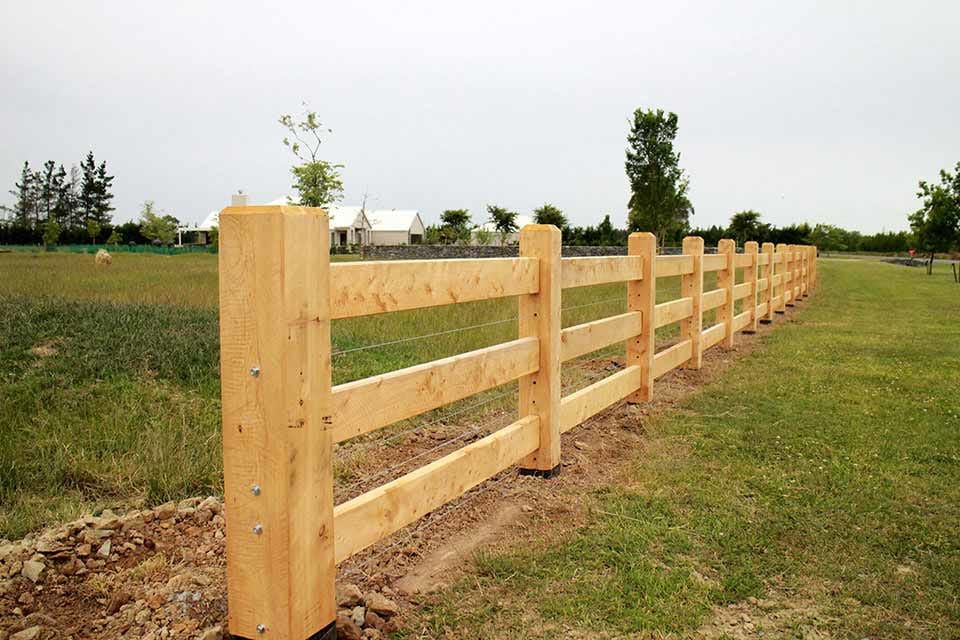 Why do Knots Occur in Timber?