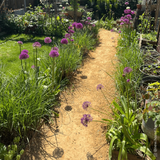 *PRE-ORDER* Hoggin Self Binding Gravel 10mm to dust by Dandy's Topsoil & Landscape Supplies