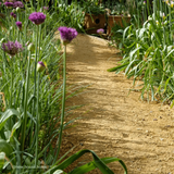 *PRE-ORDER* Hoggin Self Binding Gravel 10mm to dust by Dandy's Topsoil & Landscape Supplies