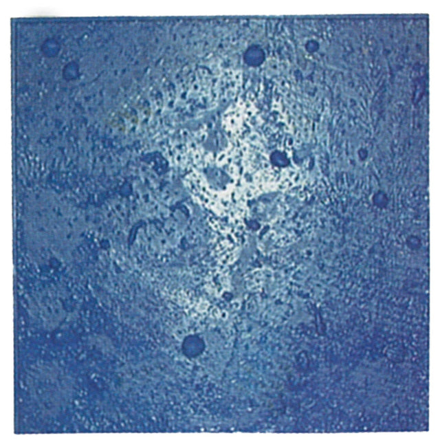 Bon Tool Sanibel Sea Shell Urethane Mat (32-315) 24” x 24”| Texture Mat