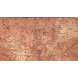 Bon Tool Bushed Stone Texturing Skin