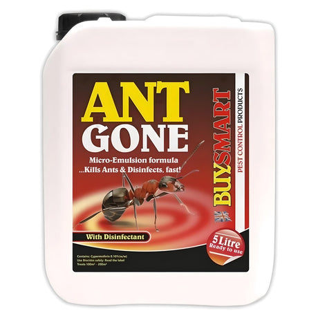 Buysmart Ant Gone Ant And Insect Killer Jerrycan Ready To Use 5 Litre