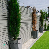 2x1  Timber Screening Batten UC3 50x25mm (Finished Size 45x17mm)