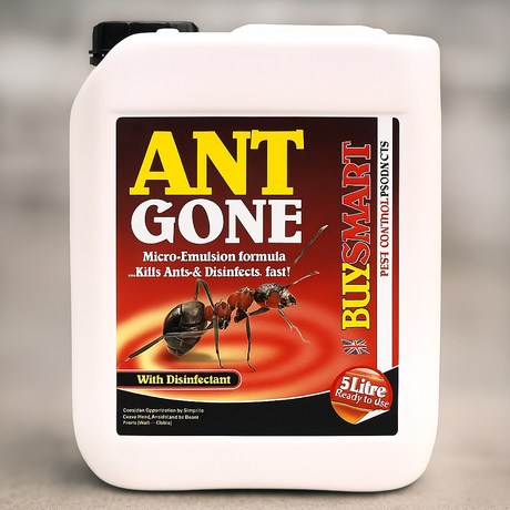 Buysmart Ant Gone Ant And Insect Killer Jerrycan Ready To Use 5 Litre