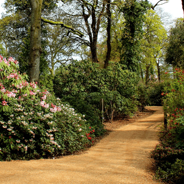 *PRE-ORDER* Hoggin Self Binding Gravel 10mm to dust by Dandy's Topsoil & Landscape Supplies