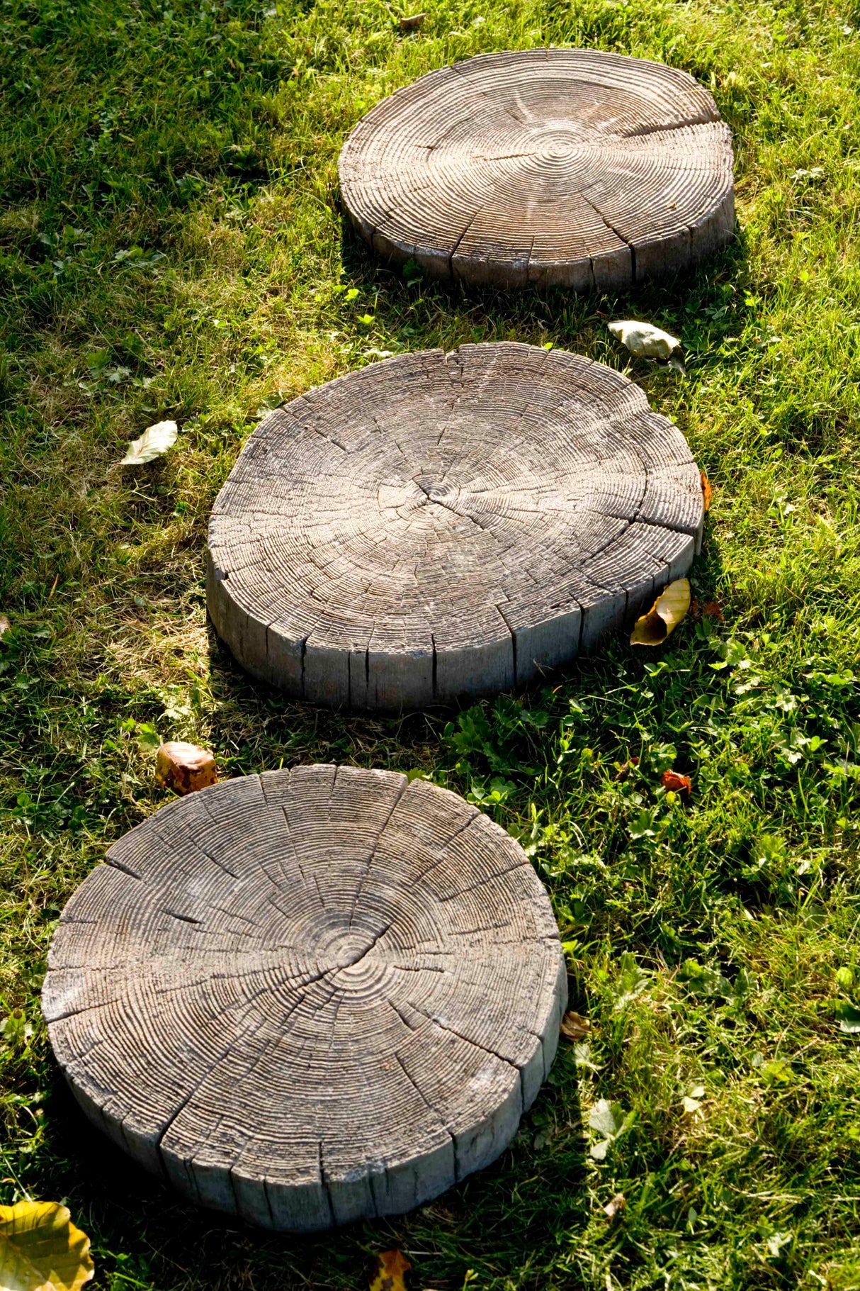 Log Stepping Stone 360mm Driftwood on grass