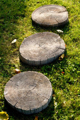 Log Stepping Stone 360mm Driftwood on grass