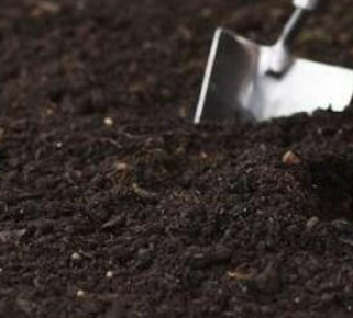 Multi Purpose Welsh Topsoil