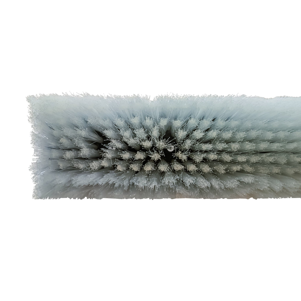 Aquaspray 31cm DuPont Bristles Brush Head