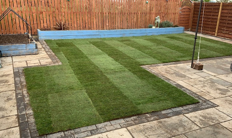 Budget Lawn Turf Roll (1m2).  General Purpose / Hardwearing Lawn