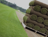 Premier Lawn Turf *Bulk Buy*