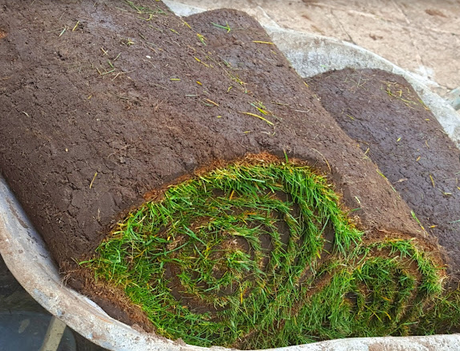 Premier Lawn Turf *Bulk Buy*