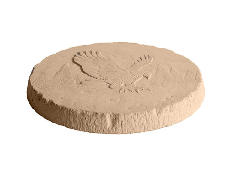 wild bird eagle stepping stone