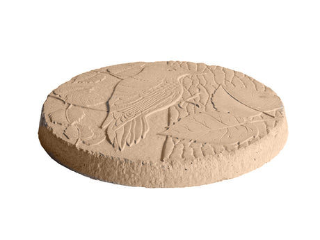 wild bird woodpecker stepping stone