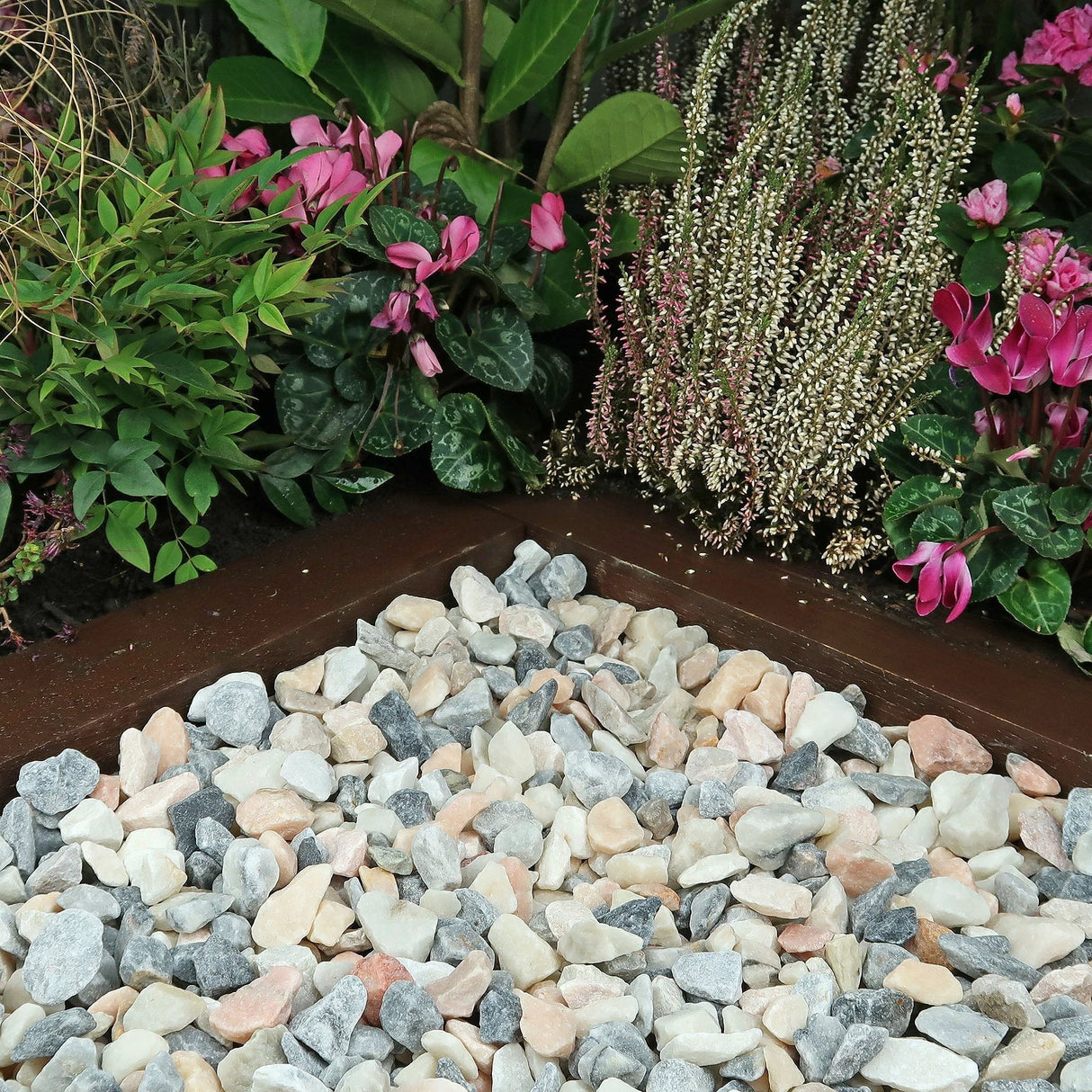 Blossom Chippings 20kg Bag Pallet of 49 - Armstrong Cheshire