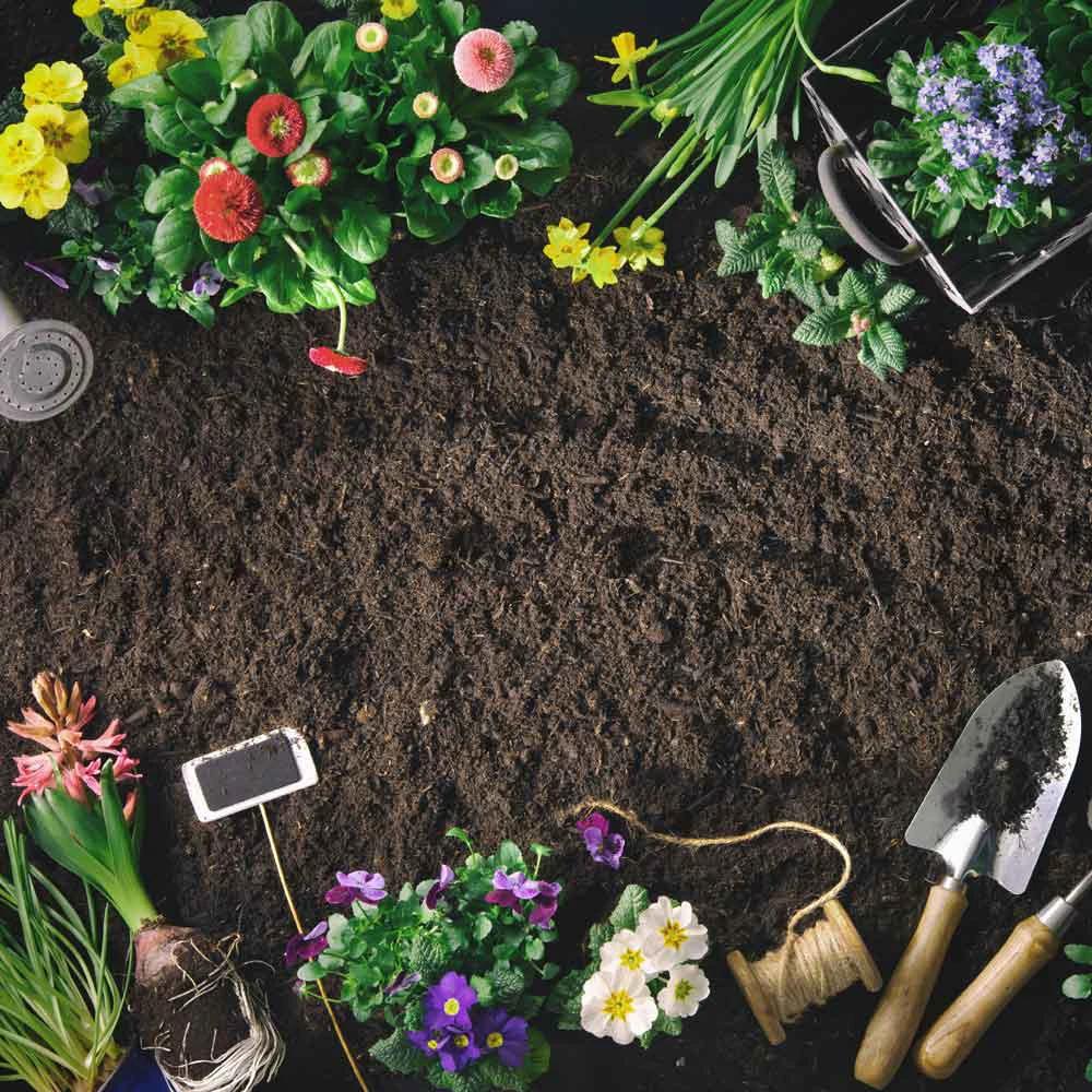 Bordermix Welsh Topsoil for plants and flowers - Armstrong Cheshire