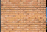 Carlton Flamborough Gold Brick 73mm - Armstrong Cheshire