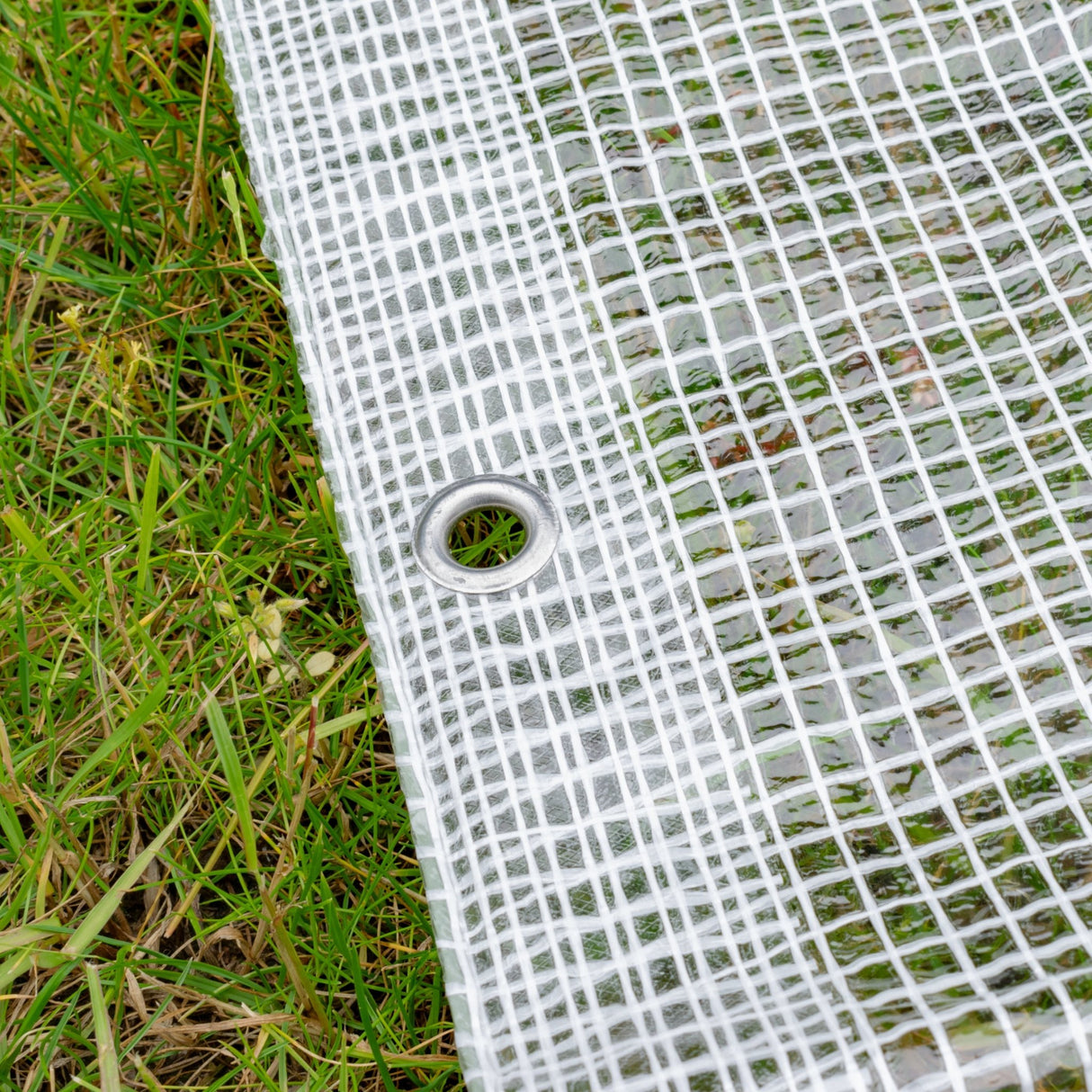 Clear M-Grade Tarpaulin with 10 Metres of 6mm Bungee Rope