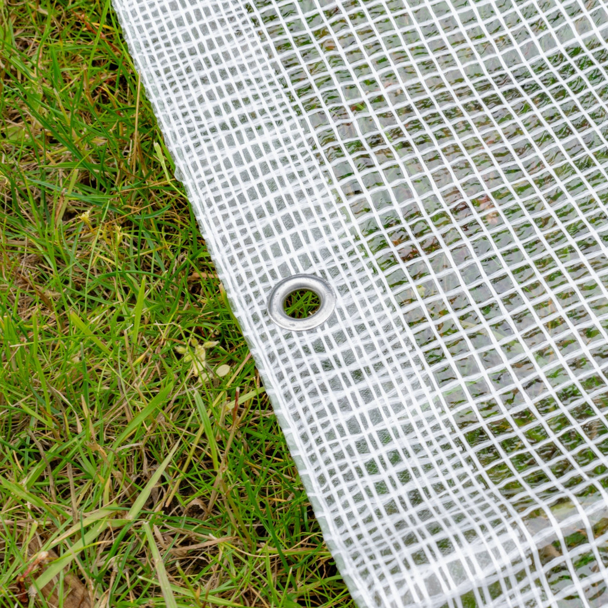 Clear XL-Grade Tarpaulin with 10 Metres of 6mm Bungee Rope