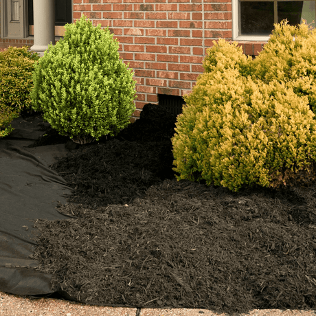 Composted Mulch Bark Fines by Dandy's Topsoil & Landscape Supplies