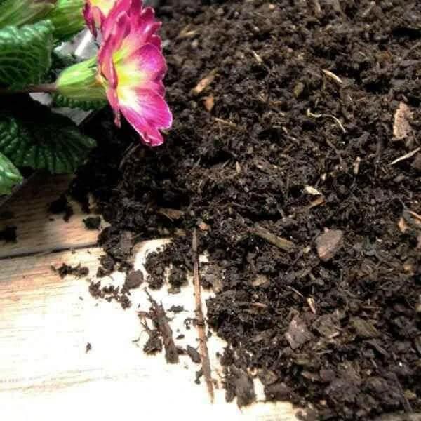 Composted Mulch Bark Fines by Dandy's Topsoil & Landscape Supplies