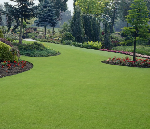 Ornamental Gold Fine Turf Roll (1m2).