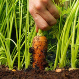 Gardeners' Choice Vegetable Soil - 800kg Bag - Armstrong Cheshire