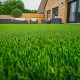 Lawn Shade Turf Roll (1m2). Shady Areas