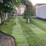 Grass Driveway Grid 500mm x 500mm x 40mm Ground Reinforcement System For Lawns Driveways And Parking Areas - Armstrong Cheshire