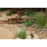 Henham Blend Pebbles 20mm 20kg Bag Pallet of 49 - Armstrong Cheshire