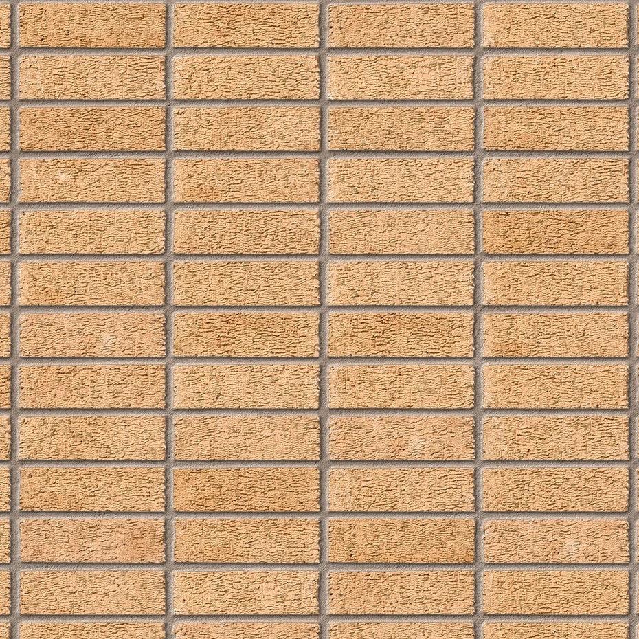 Ibstock Anglian Buff Multi Rustic Brick 65mm - Armstrong Cheshire